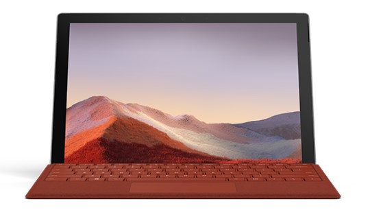 重兴镇清洁和维护 Surface